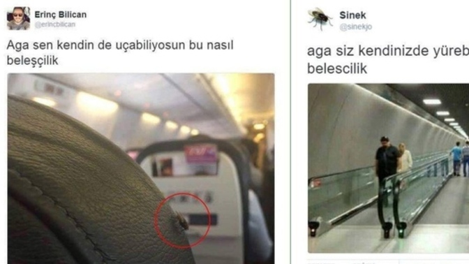 Siz hiç beleşçilik yaptınız mı?