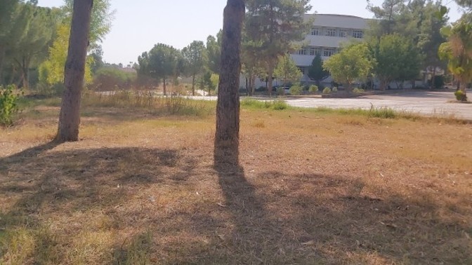 Şu an nerede ne yapıyorsuniz?