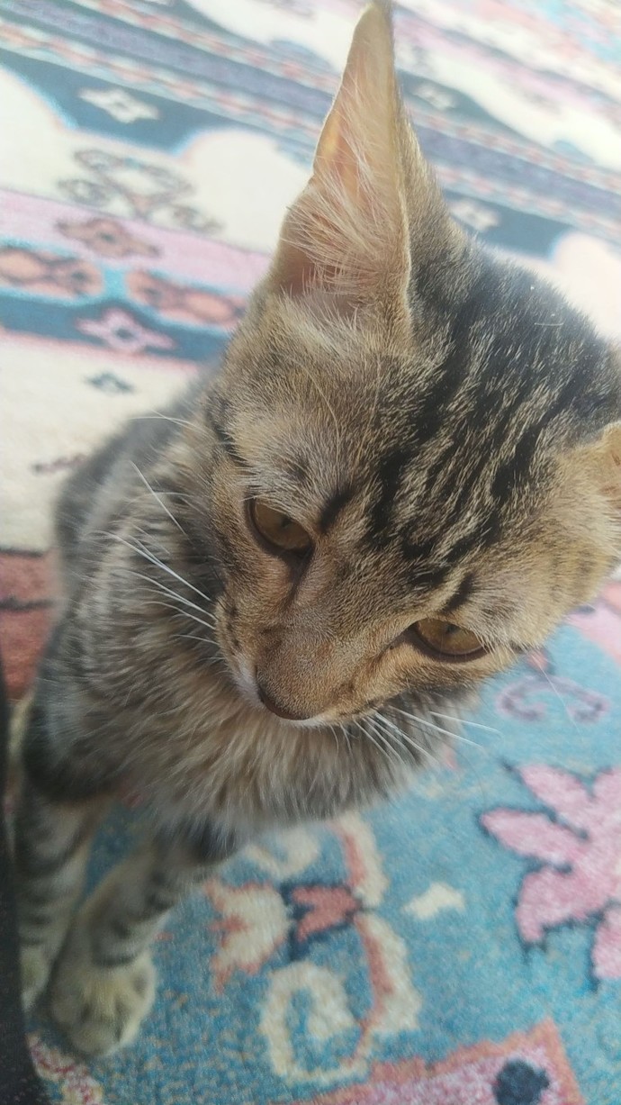 Öpmemek için kendinizi zor tuttuğunuz bir şey var mı?