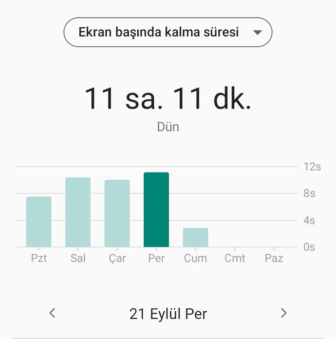 Gün içinde telefon elinizde geçirdiğiniz süre ne kadar?