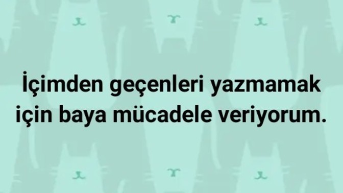 İçinden geleni yazabilir misin?