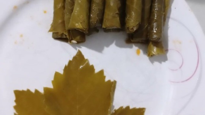 Arkadaşlar sarma sarıyorum, nasıl olmuş sizce?