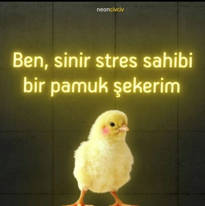 Nasıl birisiniz, kendinizi nasıl tanımlarsınız?