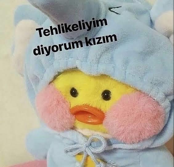 Nasıl birisiniz, kendinizi nasıl tanımlarsınız?