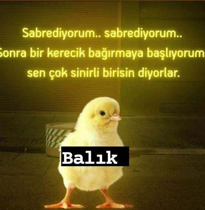 Nasıl birisiniz, kendinizi nasıl tanımlarsınız?