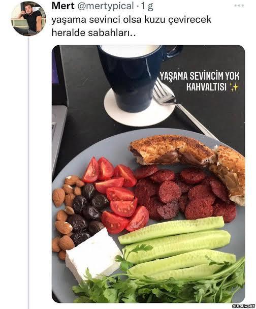 Bu aralar yaşama sevincini artıran şey ne?