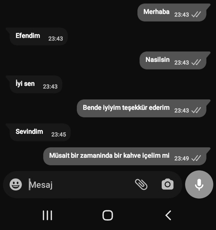 Bir erkek bir kizin mesajina neden cevap vermez?