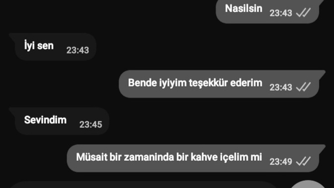 Bir erkek bir kizin mesajina neden cevap vermez?