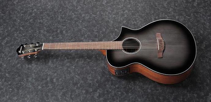Bu gitara 25 bin lira verilir mi?