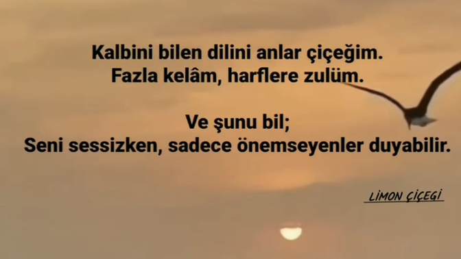Sessiz kalsan bile seni anlayabilen insanlar var mı hayatında?