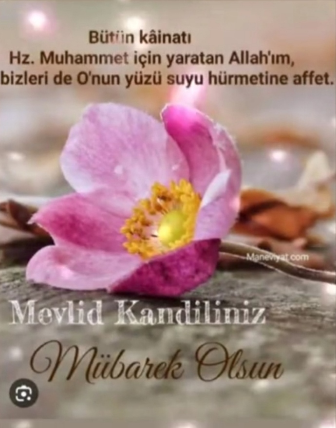 Bugün Mevlid Kandili, hep birlikte birbirimizin kandilini kutlayalım mı?