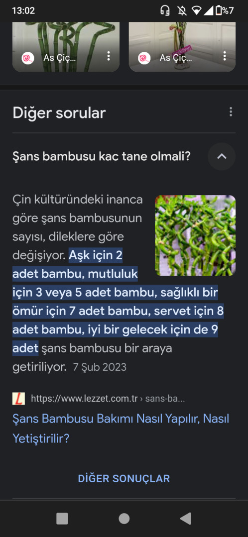 Bitkilerden detaylı anlayan var mı?