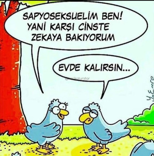 Partnerinizin zekası ne kadar önemli?