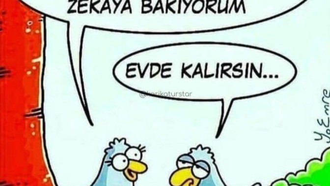 Partnerinizin zekası ne kadar önemli?