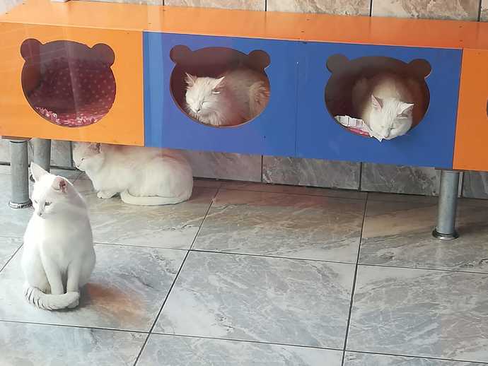 Çocuklar kaç aylıkken renkleri ayırt eder?