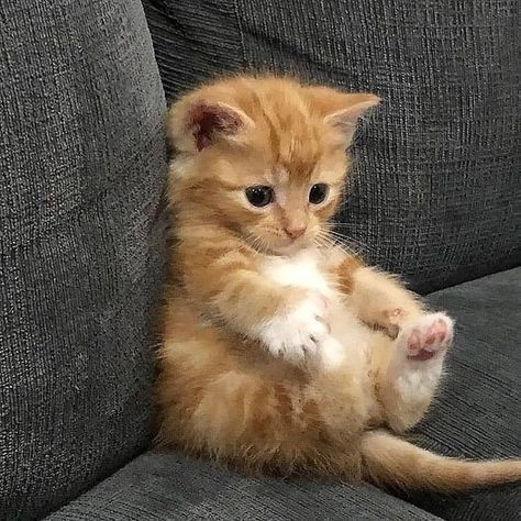 Şu anki hayatınızdan memnun musunuz?