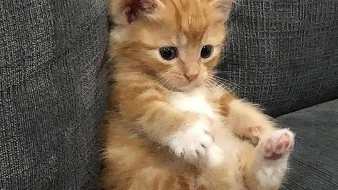 Şu anki hayatınızdan memnun musunuz?