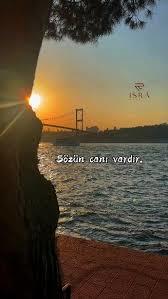 Seni en çok duygulandıran şeyler neler?