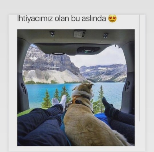 Kimler böyle ister?