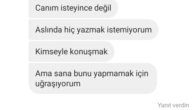 Sonrasında iyi geceler dedim iyi geceler yazdı iki gün oldu sizce yazar mı?