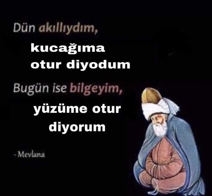 Dün zekiydim bugün bilgeyim dediğiniz konular neler?