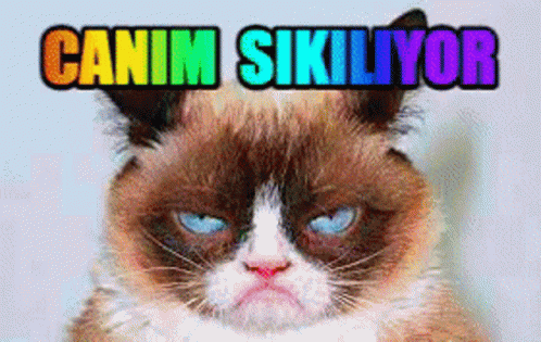 Canım sıkıldı ilk aklınıza gelen şeyi yapacam en çok akla geleni seçeceğim bu ne olsun?