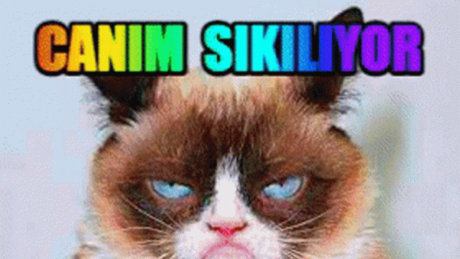 Canım sıkıldı ilk aklınıza gelen şeyi yapacam en çok akla geleni seçeceğim bu ne olsun?