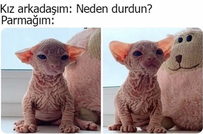Vajinanın parmaklanması hakkında?