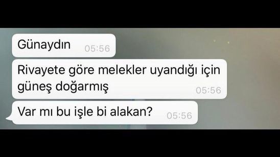 Karşı cins için en etkili yürüme cümlesi nedir?