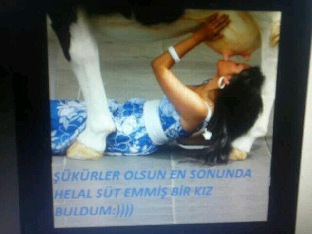 "Helal süt emmiş birisi" ne demek sence?