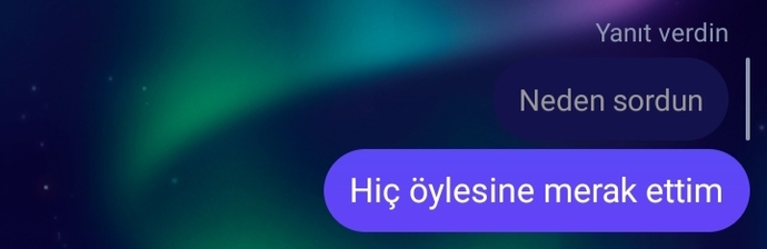 Okula birlikte yürüyelim diyecektim ama böyle bir cevap verince söyleyemedim. Sizce anlamış mıdır?