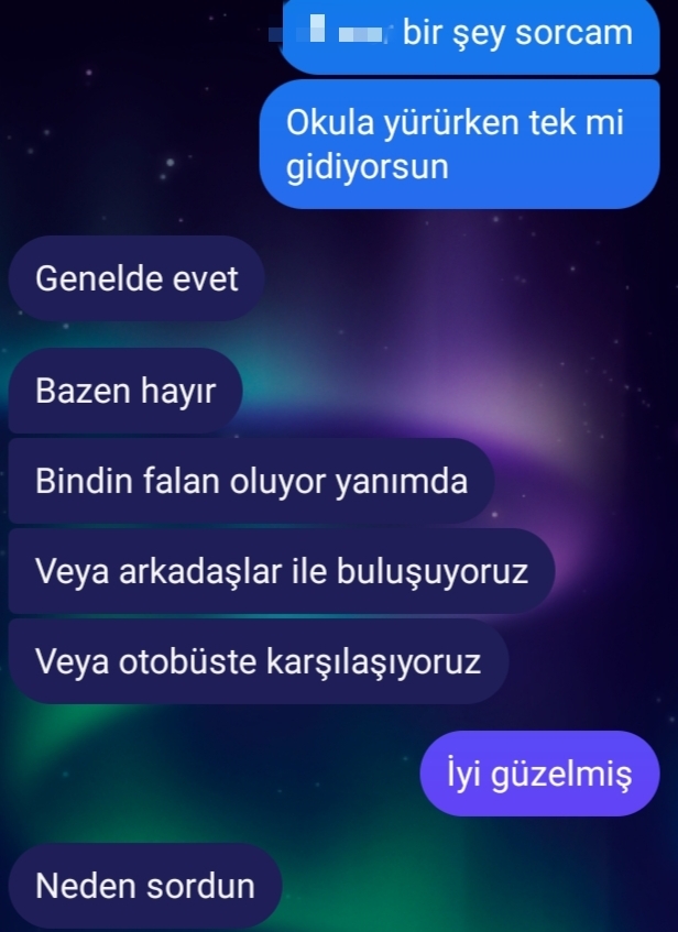 Okula birlikte yürüyelim diyecektim ama böyle bir cevap verince söyleyemedim. Sizce anlamış mıdır?