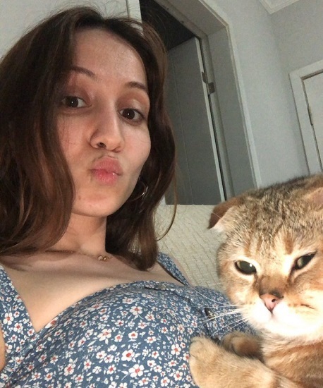 Kedim sabahtan beri mama yemiyor ve üzgün duruyor. Neden olabilir?