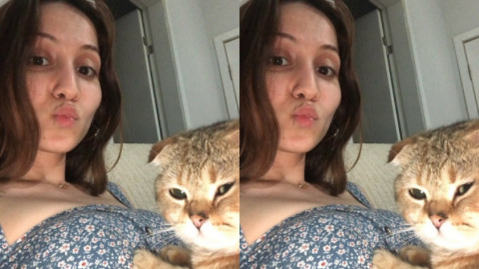 Kedim sabahtan beri mama yemiyor ve üzgün duruyor. Neden olabilir?