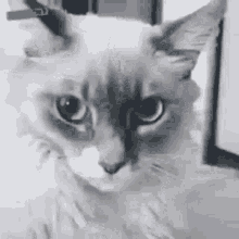 Hiç birini boğmak istediniz mi?