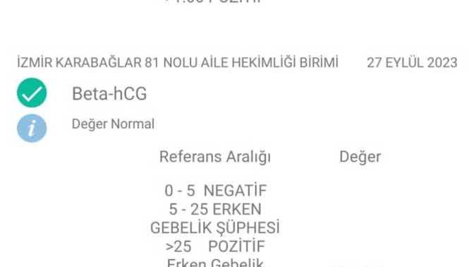 Bu sonuca göre hamile olabilir miyim?