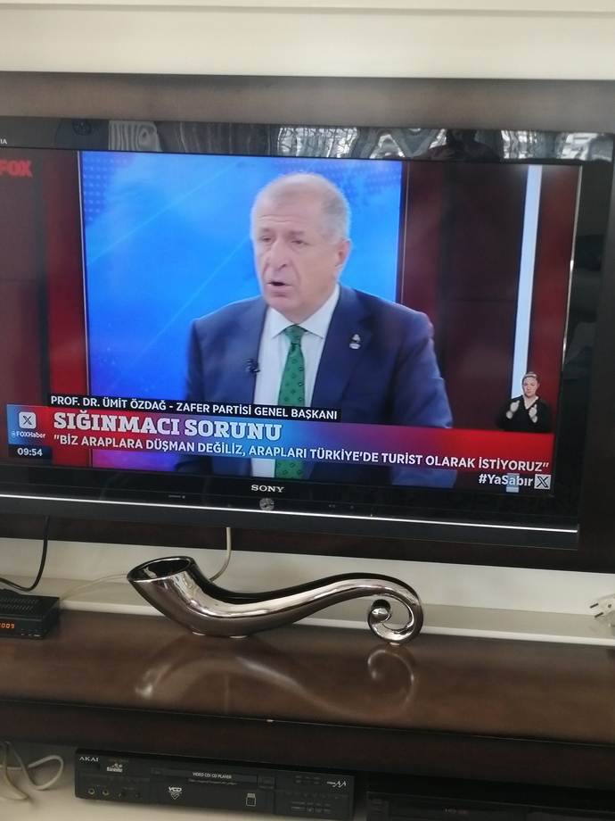 Sığınmacıların getirdiği sorunlardan bıkmadınız mı?