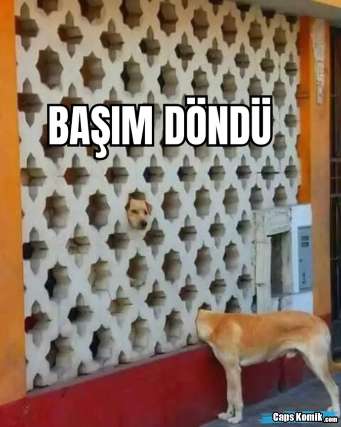 😂😂😂