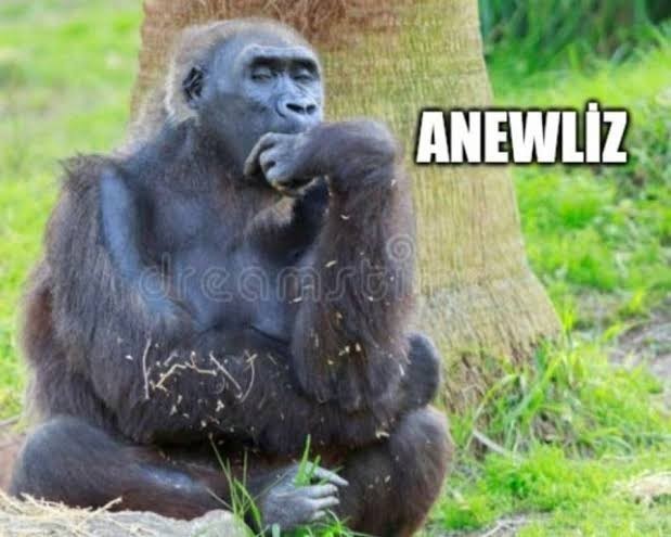 Pilav saç döküyormuş, pilav sever misiniz?