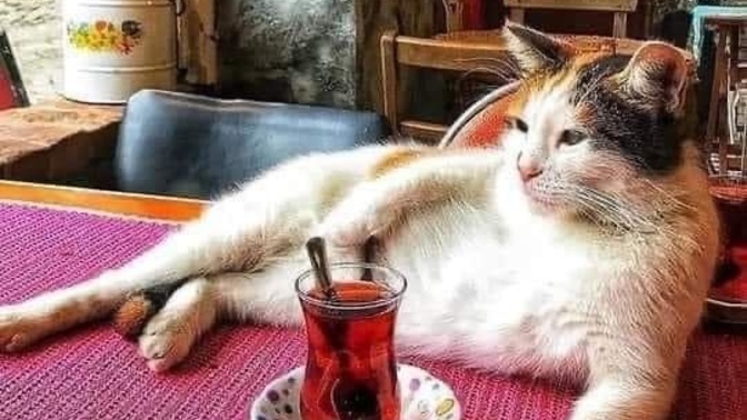 Çay saatinde ne seversiniz? Çayın yanına en çok yakıştırdığınız atıştırmalık?