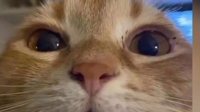 Başınızı ütüleyen whatsapp gruplarınız var mı?