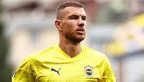 Fenerbahçede ki favori yabancı futbolcunuz hangisi?