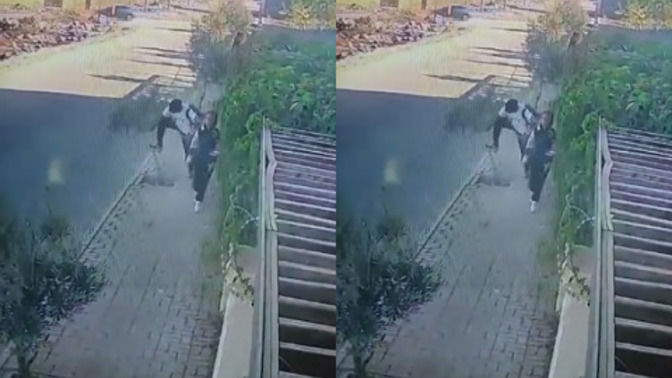 Urfa'da lise öğrencisi genç, durduk yerde dikili zeytin ağacını kırmış. Aile sevgisi görmemekten mi bu?
