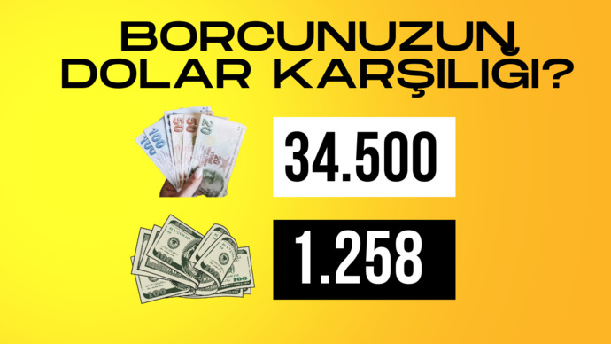 Toplam borcunuzun dolar karşılığı nedir?