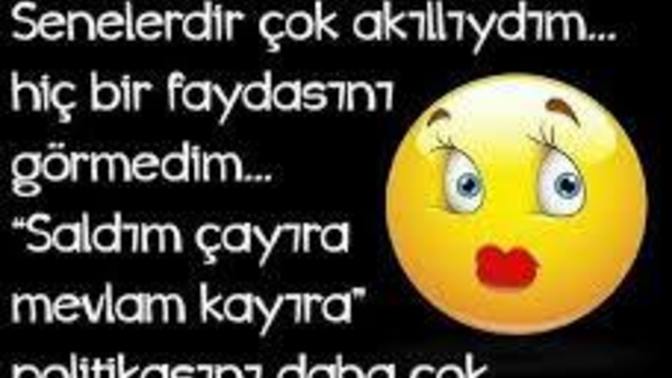 Çayıra saldıktan sonra ne oldu 😅?