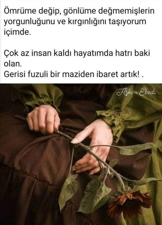 fuzuli