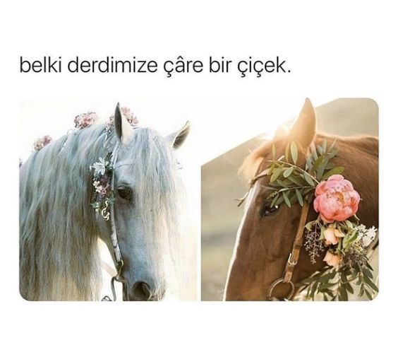 ..