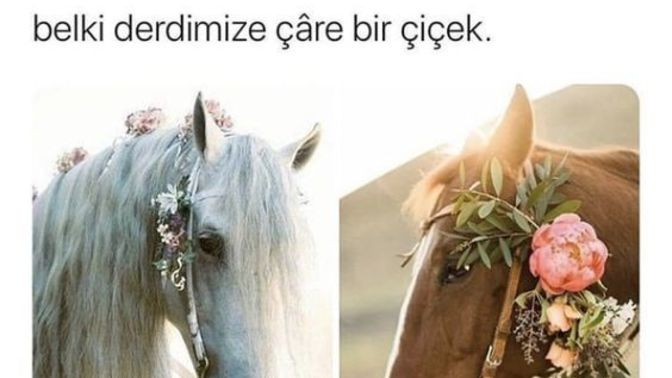 İçinden geçen sayıyı söyle, sana özel bir yazı yazayım ister misin?