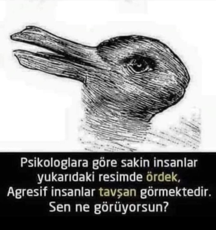 Sen ne görüyorsun?😅?