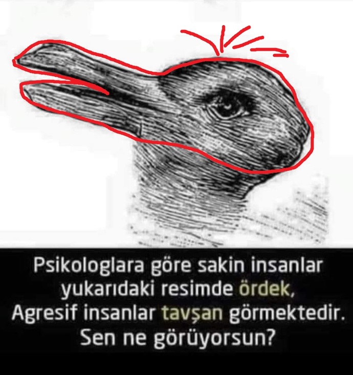 Sen ne görüyorsun?😅?